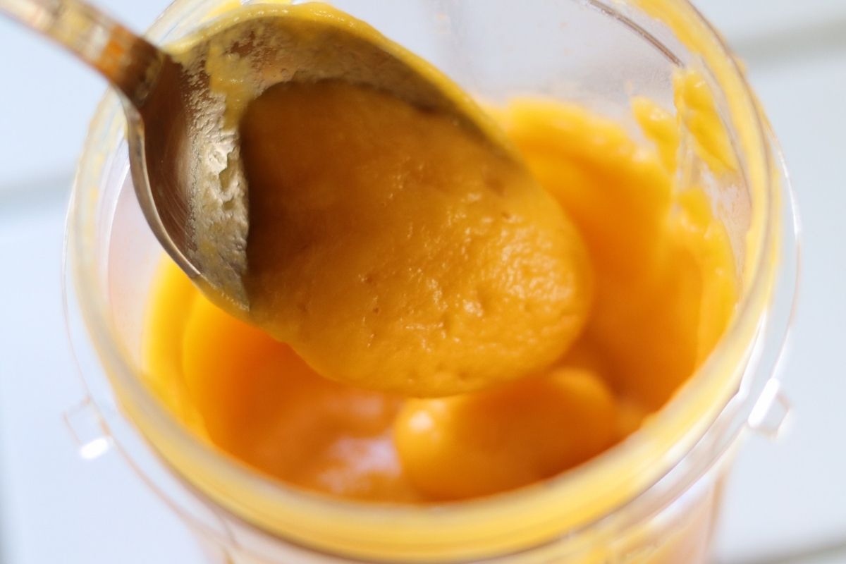 a spoon full of pumpkin purée taken froma blender