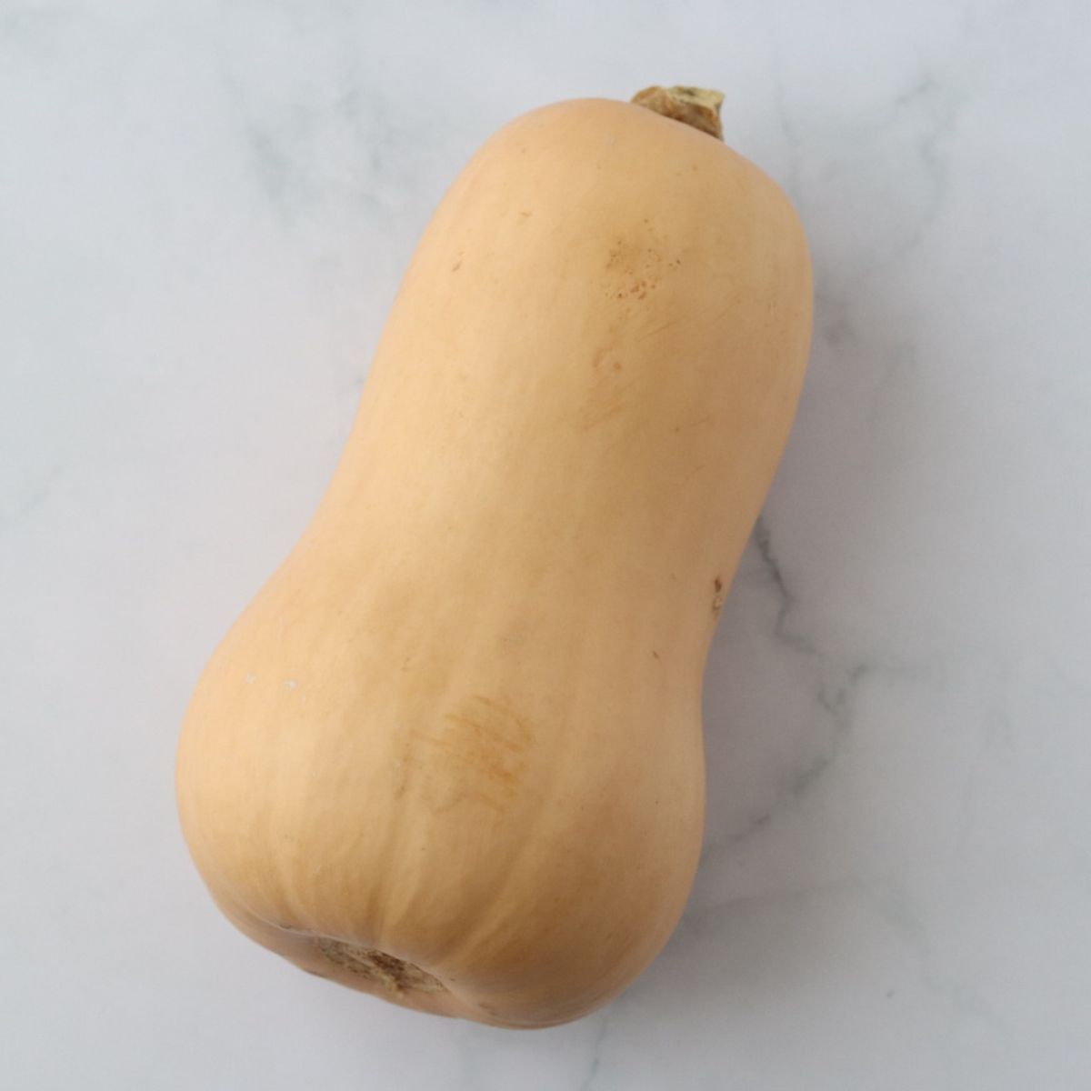 Picture of a butternut squash