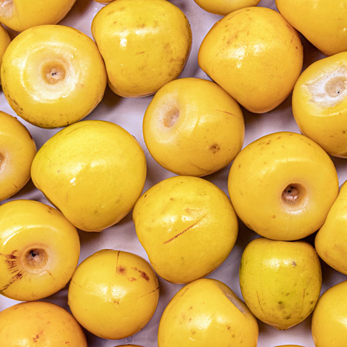A bunch of nance fruits (small yellow fruits) spread on a counter. 