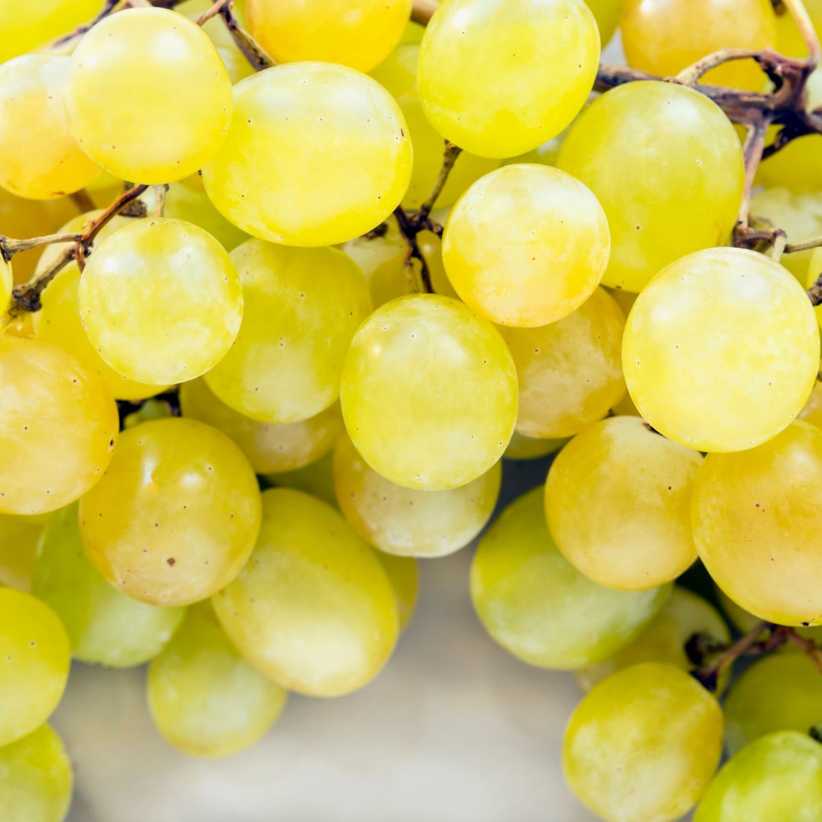 A bunch of yellow grapes.