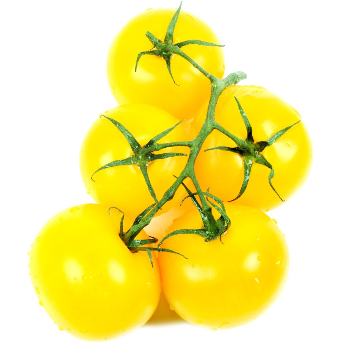 5 yellow tomatoes.